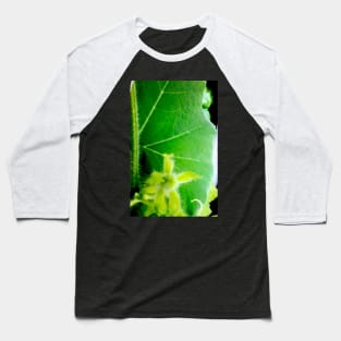 Pumpkin Foliage Baseball T-Shirt